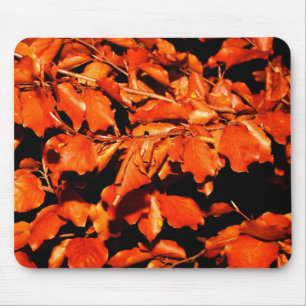Herbst in Wald Mousepad