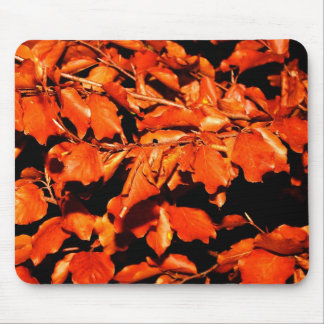 Herbst in Wald Mousepad