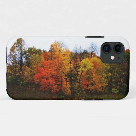Herbst in Westbend, Wisconsin Case-Mate iPhone Hülle (Rückseite (Horizontal))