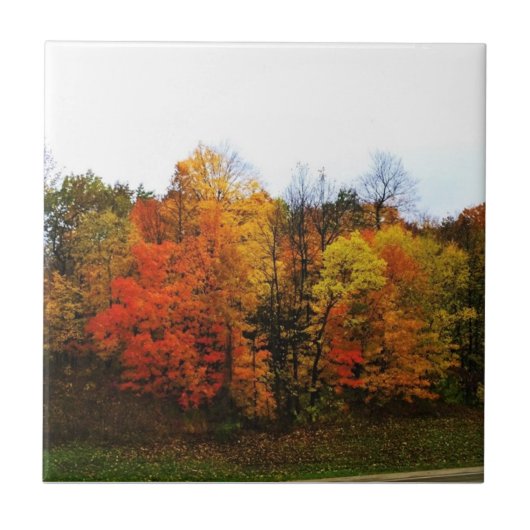 Herbst in Westbend, Wisconsin Fliese (Vorderseite)