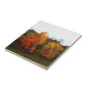 Herbst in Westbend, Wisconsin Fliese (Seite)