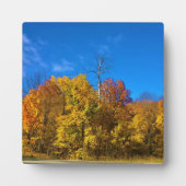 Herbst in Westbend, Wisconsin Fotoplatte (Vorderseite)