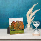 Herbst in Westbend, Wisconsin Fotoplatte (InSitu)