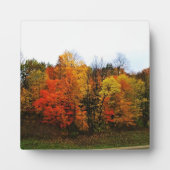 Herbst in Westbend, Wisconsin Fotoplatte (Vorderseite)