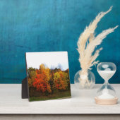 Herbst in Westbend, Wisconsin Fotoplatte (InSitu)