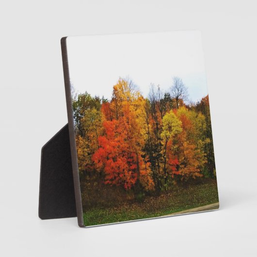 Herbst in Westbend, Wisconsin Fotoplatte (Vorderseite)