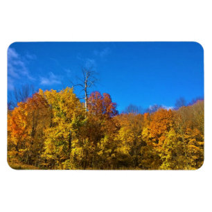 Herbst in Westbend, Wisconsin Magnet