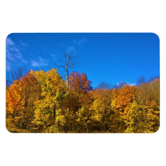 Herbst in Westbend, Wisconsin Magnet (Horizontal)