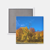 Herbst in Westbend, Wisconsin Magnet (Vorderseite/Rückseite)