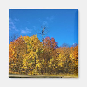 Herbst in Westbend, Wisconsin Magnet