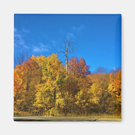 Herbst in Westbend, Wisconsin Magnet (Vorne)