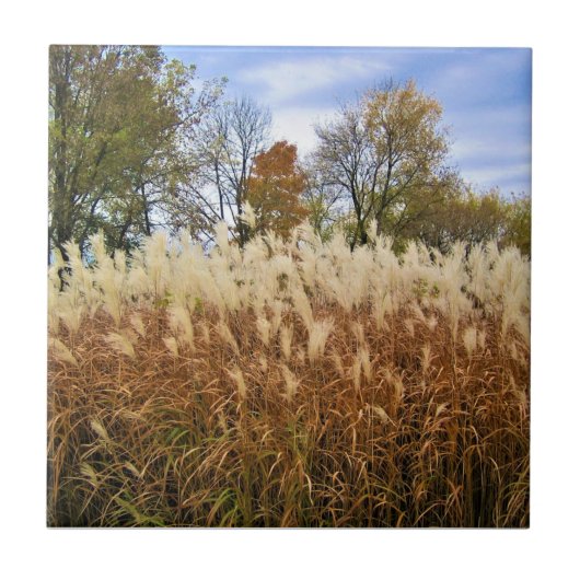 Herbst in Wisconsin Fliese (Vorderseite)