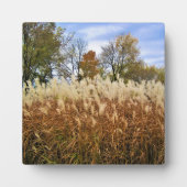 Herbst in Wisconsin Fotoplatte (Vorderseite)