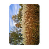 Herbst in Wisconsin Magnet (Vertikal)