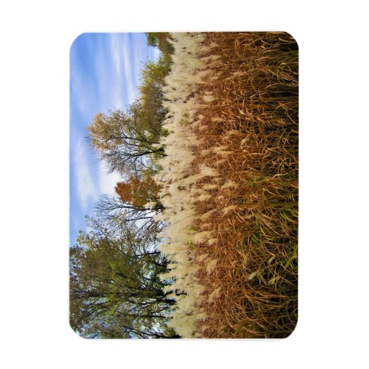 Herbst in Wisconsin Magnet (Vertikal)
