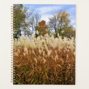 Herbst in Wisconsin Planer