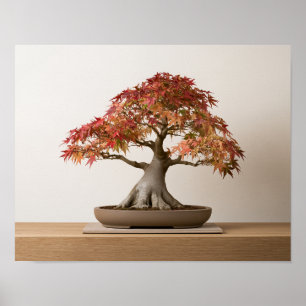Herbst-Japanischer-Ahorn-Bonsai-Kunstprint   Wandk Poster