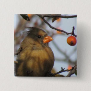 Herbst-Kardinal Button