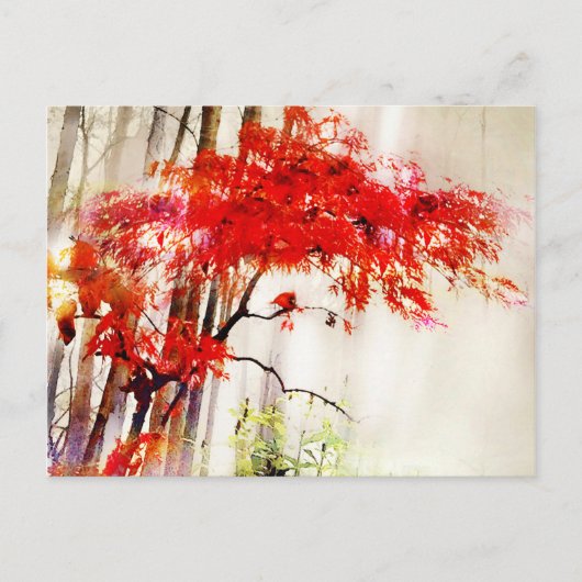 Herbst Kardinal, Japanische Rote Ahornbaum, Postka Postkarte (Vorderseite)
