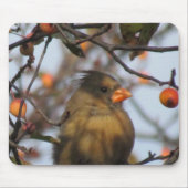 Herbst-Kardinal Mousepad (Vorne)