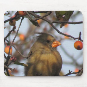 Herbst-Kardinal Mousepad