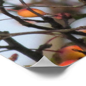 Herbst-Kardinal Poster (Ecke)