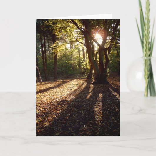 Herbst | karte (Vorderseite)