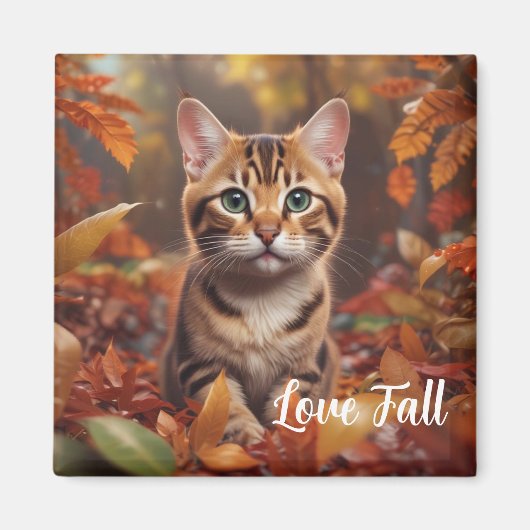 Herbst-Katz-Magnet Magnet (Vorne)