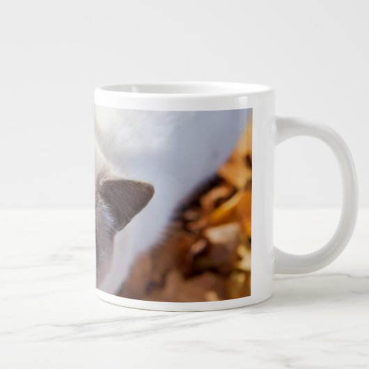 Herbst-Katze Jumbo-Tasse (Rechts)