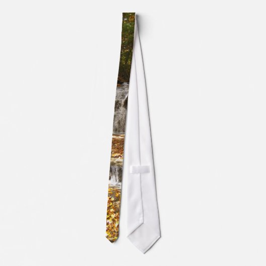 Herbst-Krawatte Krawatte (Rückseite)