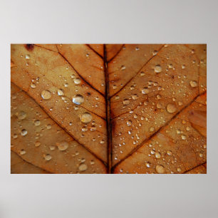 Herbst Kunstdruck Poster