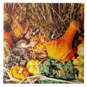 Herbst - Kürbis - Erdrückt werden Fliese