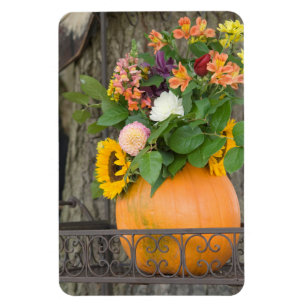 Herbst-Kürbisstrauß Magnet