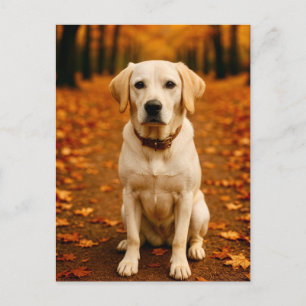 Herbst Labrador Postkarte Goldener Herbstwald Hund