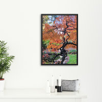 Herbst-Lackblatt-Japanischer Ahornbaum Botanisch