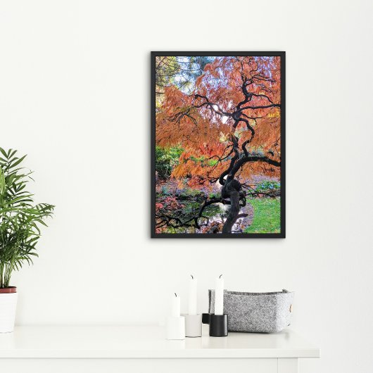 Herbst-Lackblatt-Japanischer Ahornbaum Botanisch Poster