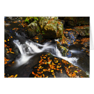Herbst-Landschaft an den gezierten Ebene-Fällen
