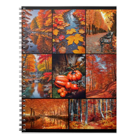 Herbst Landschaft Foto Collage Kunst Notizblock (Vorderseite)