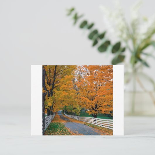 Herbst Landschaftlich Backroad New Hampshire Postkarte (Stehend Vorderseite)