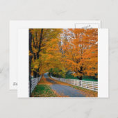 Herbst Landschaftlich Backroad New Hampshire Postkarte (Vorne/Hinten)