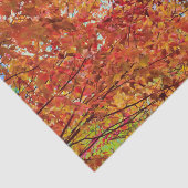 Herbst lässt farbenfrohe Orange Fall Themed Blue S Seidenpapier (Ausschnitt)