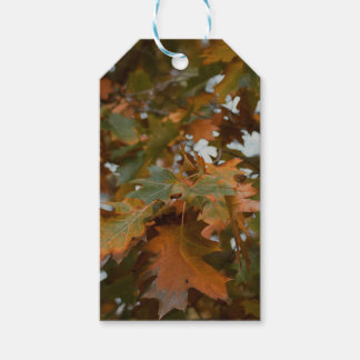 Herbst lässt Geschenkmarken Geschenkanhänger
