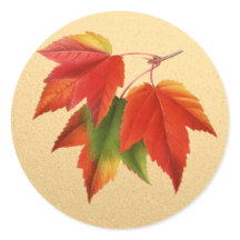 Herbst lässt Herbstfarben Ahornleaf auf Gold