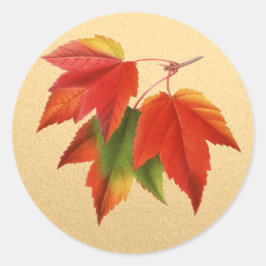 Herbst lässt Herbstfarben Ahornleaf auf Gold Runder Aufkleber