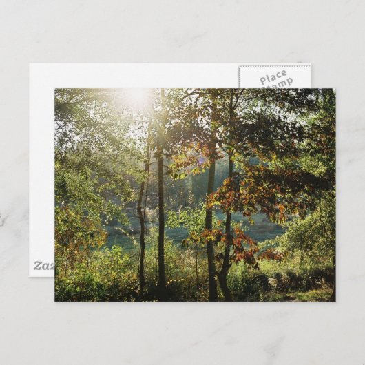 Herbst-Laub Postkarte (Vorne/Hinten)