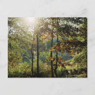 Herbst-Laub Postkarte