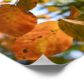 Herbst-Leaf-Herbst lässt Sky Nature Fotografy Poster (Ecke)