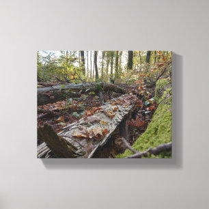 Herbst Leinwanddruck