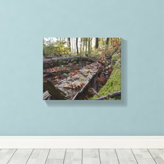 Herbst Leinwanddruck (Insitu (Holzboden))