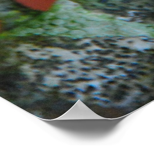 Herbst Lichen Poster (Ecke)